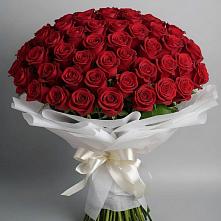 Букет 101 Красная роза Блэк Мэджик в Седкыркещ