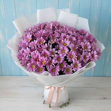 Букет цветов из:  Хризантемы в Седкыркещ
