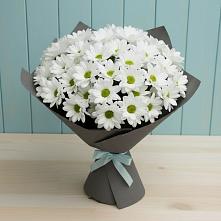 Букет цветов из:  Хризантемы #REPLACE_PRED# Седкыркещ
