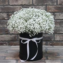 Цветочная композиция из Гипсофила в шляпной коробке в Седкыркещ
