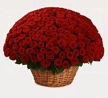 Премиум букет из: Розы #REPLACE_PRED# Седкыркещ