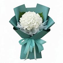 Букет цветов из:  Гортензия в Седкыркещ